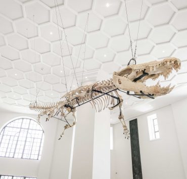 nolisoli arts city guide national museum natural history manila