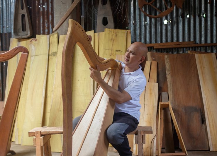 nolisoli harpmaker paete therapy