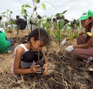 nolisoliph tree planting capiz