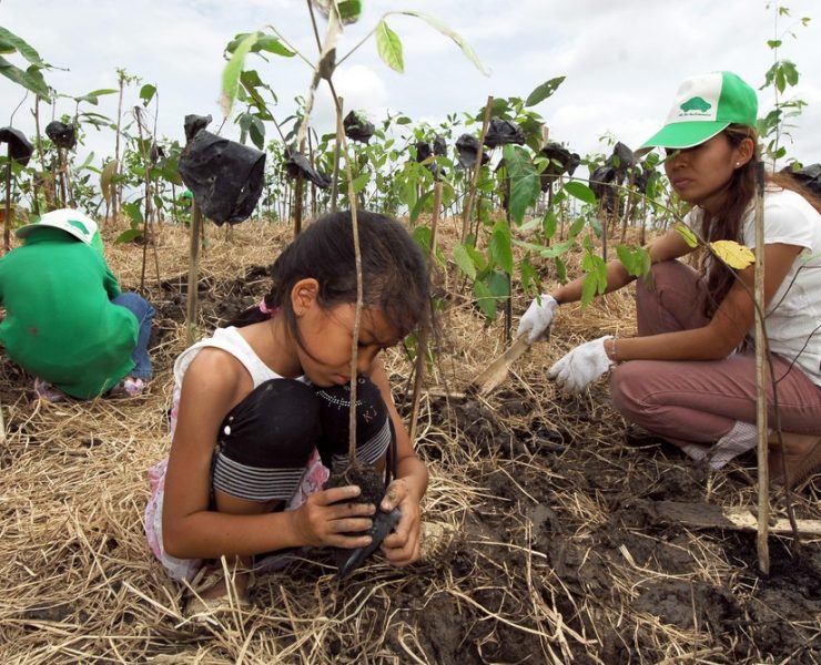 nolisoliph tree planting capiz