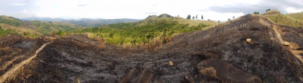 nolisoliph masungi georeseve legacy trail reforestation