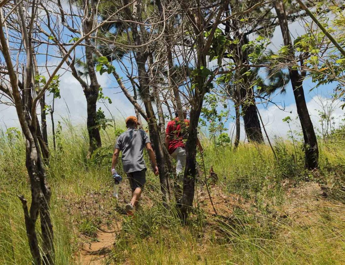 nolisoliph masungi georeseve legacy trail reforestation