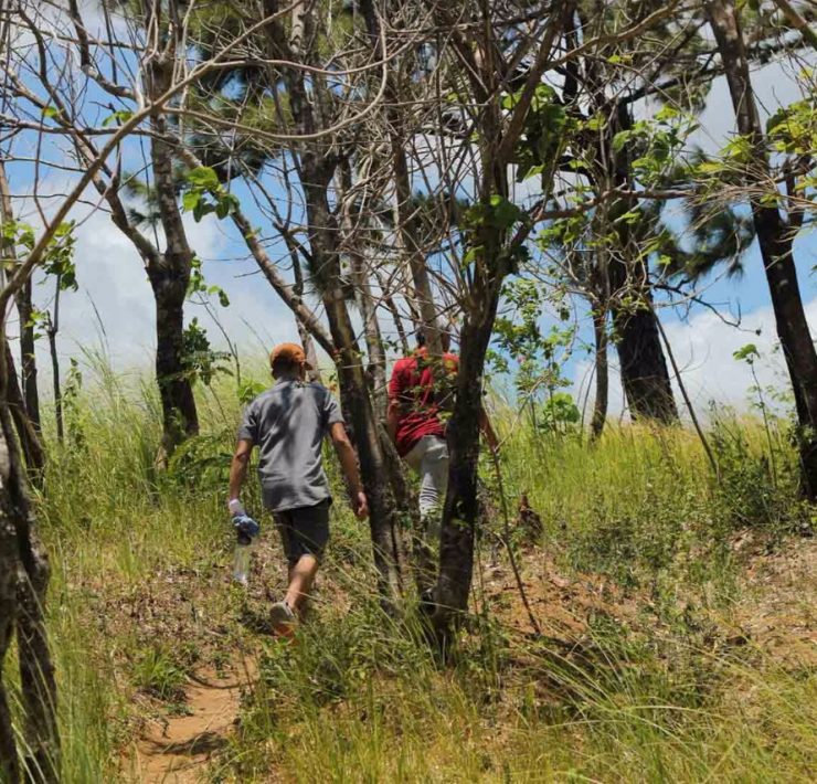 nolisoliph masungi georeseve legacy trail reforestation