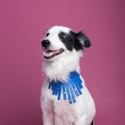 nolisoli bea blog george