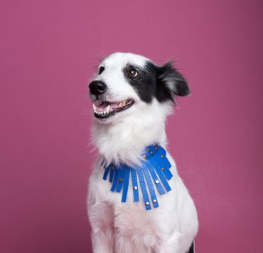 nolisoli bea blog george