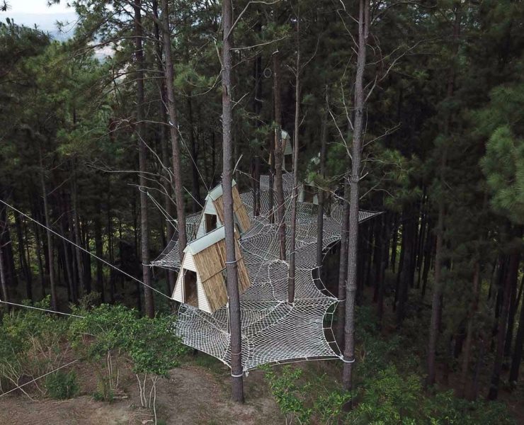 nolisoliph masungi georeseve legacy trail reforestation