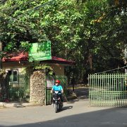 nolisoli arroceros forest park