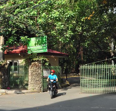 nolisoli arroceros forest park