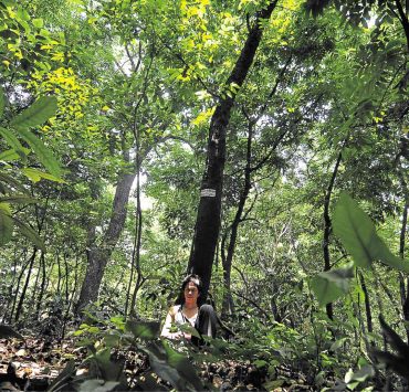 nolisoli arroceros forest park