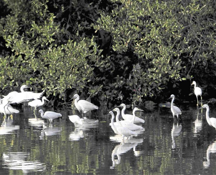 nolisoli national parks nipas law