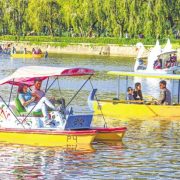 Burnham Park building cancelled