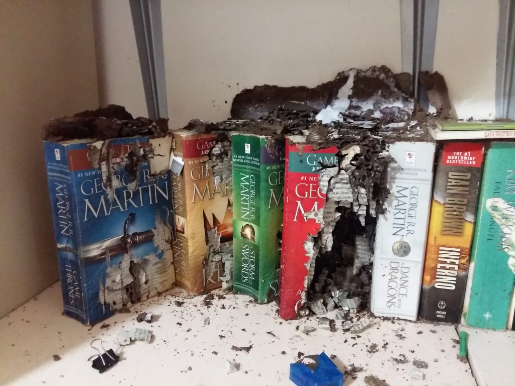 nolisoli fixture reading print damaged books
