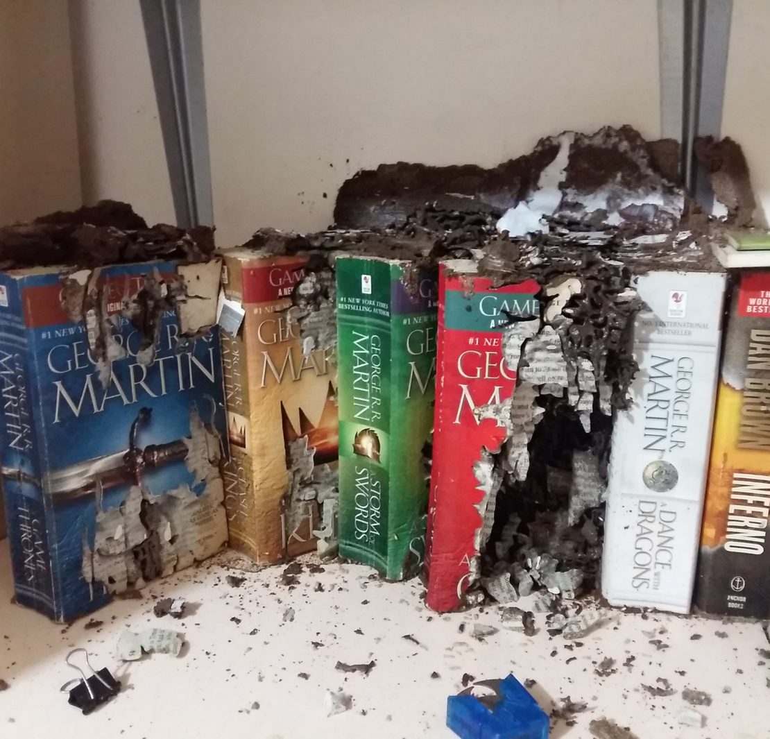 nolisoli fixture reading print damaged books