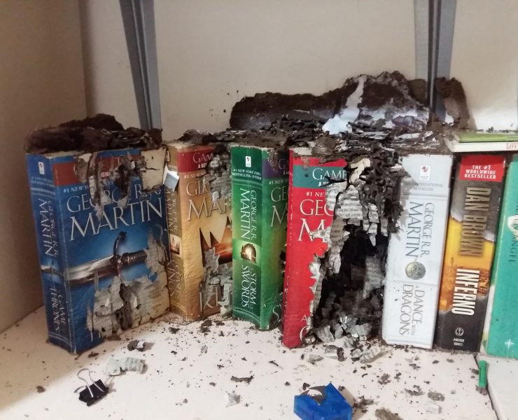 nolisoli fixture reading print damaged books