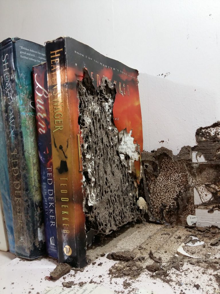 nolisoli fixture reading print damaged books