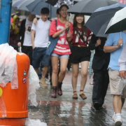 umbrella plastic hong kong south china morning post