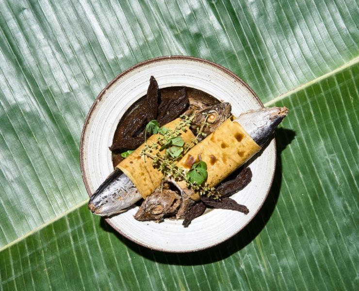 nolisoli pinangat na tulingan recipe