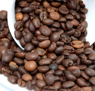 nolisoli brewing coffee beans