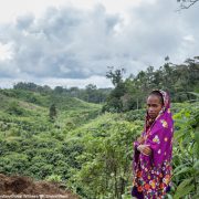 nolisoli global witness environmental defenders dangerous