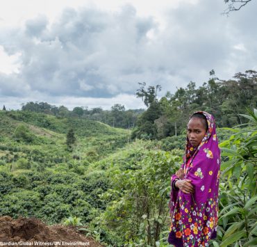 nolisoli global witness environmental defenders dangerous