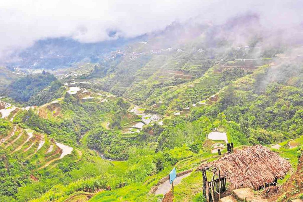 nolisoliph banaue rice terraces