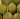 marang durian jackfruit difference