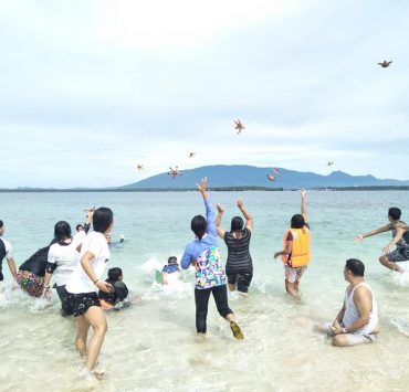 starfish palawan