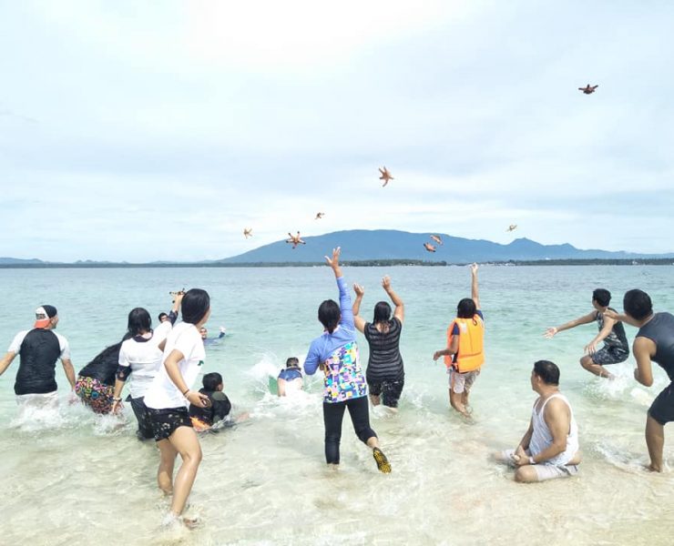 starfish palawan