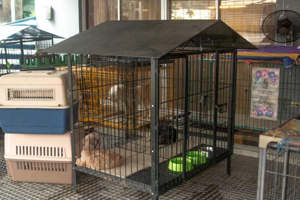 dog shelter house