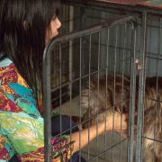 dog rescue paranaque