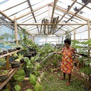 farming free seminar