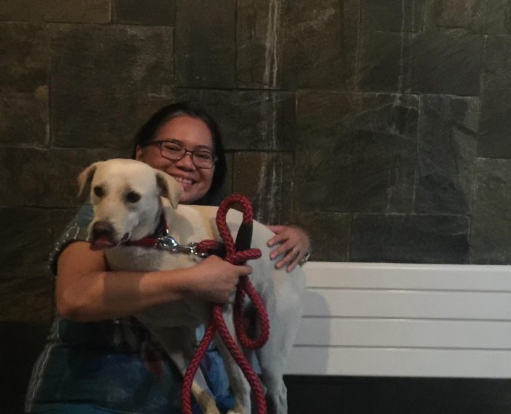 emotional support dogs UP