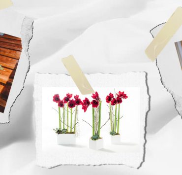 floral gifts
