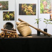 manila coffee festival coffee farmers