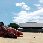 nolisoli dead whale ccp