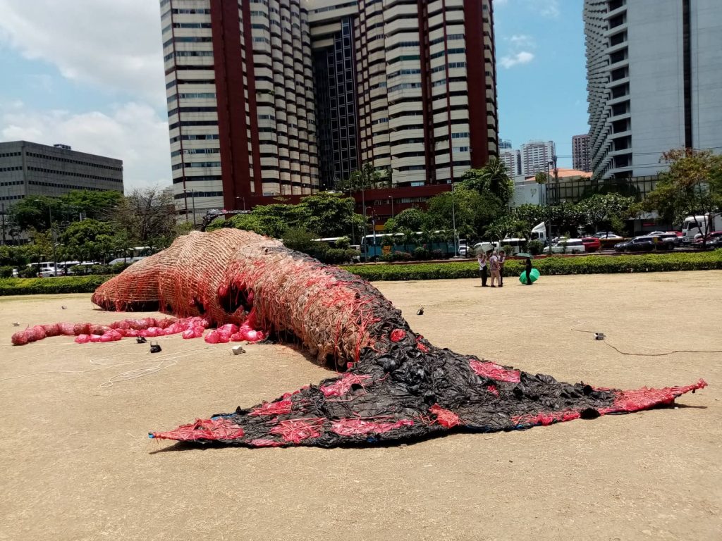 nolisoli dead whale ccp