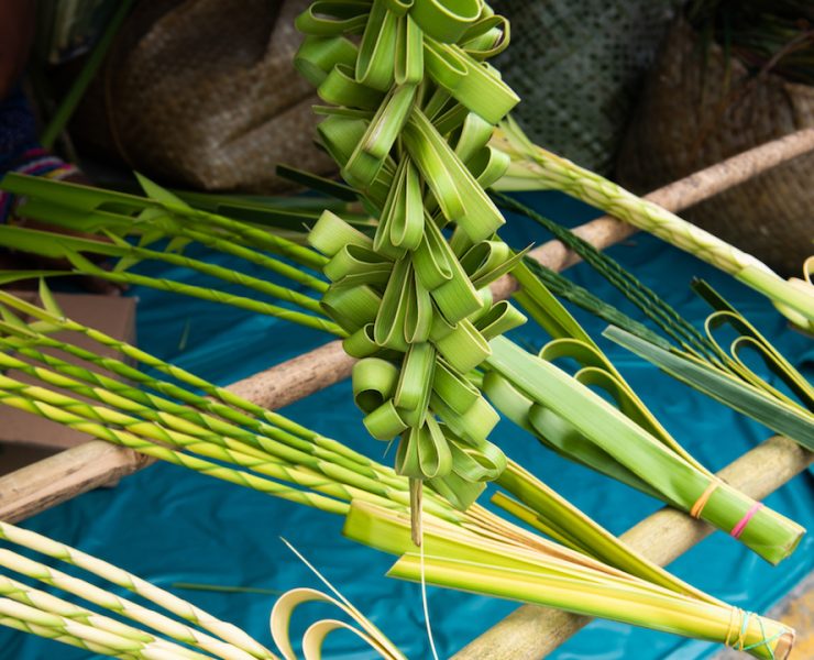 palaspas palm sunday