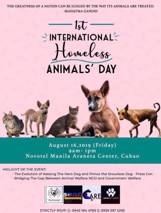 Celebrate The International Homeless Animals Day By Supporting Pet   68941786 377026676345741 120826337798651904 N 