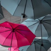 umbrella foldable umbrella