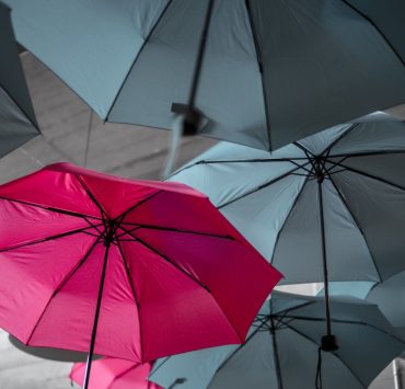 umbrella foldable umbrella