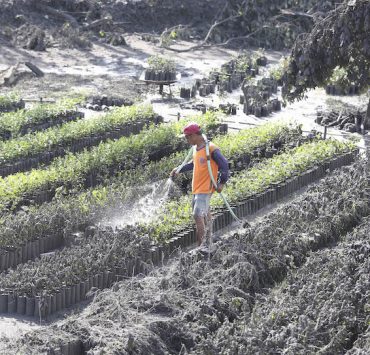 Taal Volcano crop damage