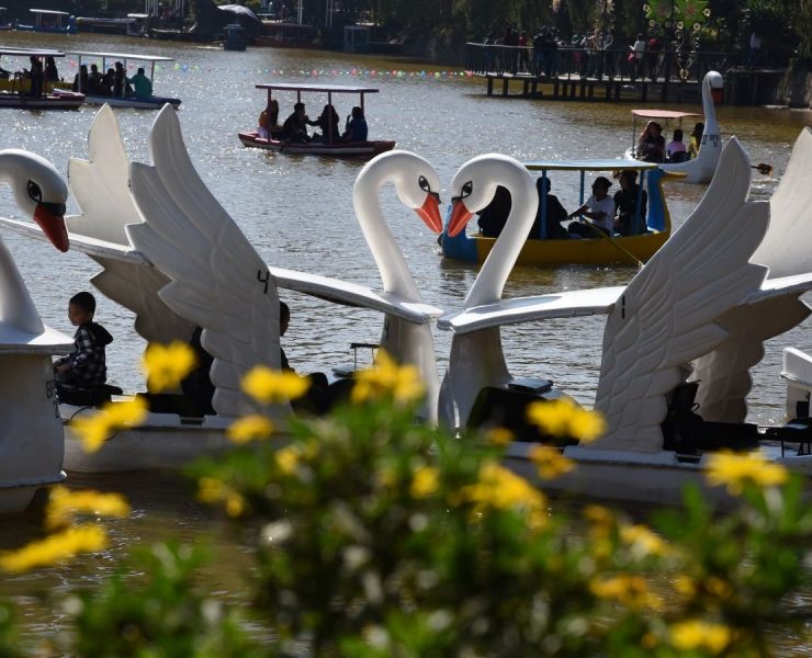 baguio city burnham park rehabilitation cherry blossoms