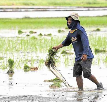 department of agriculture alpas covid-19 farmer