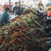 la trinidad vegetables
