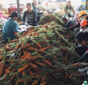 la trinidad vegetables