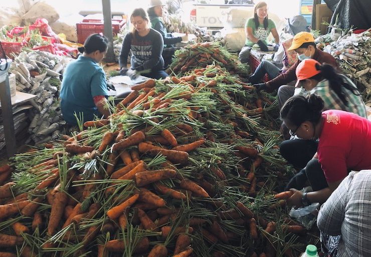 la trinidad vegetables