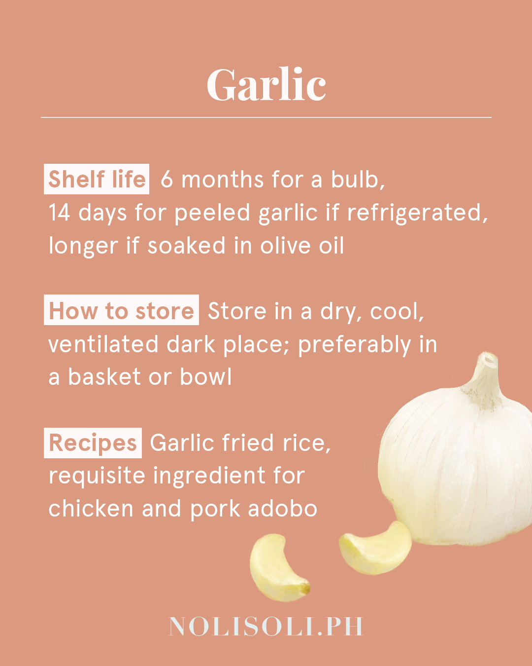 vegetable shelf life