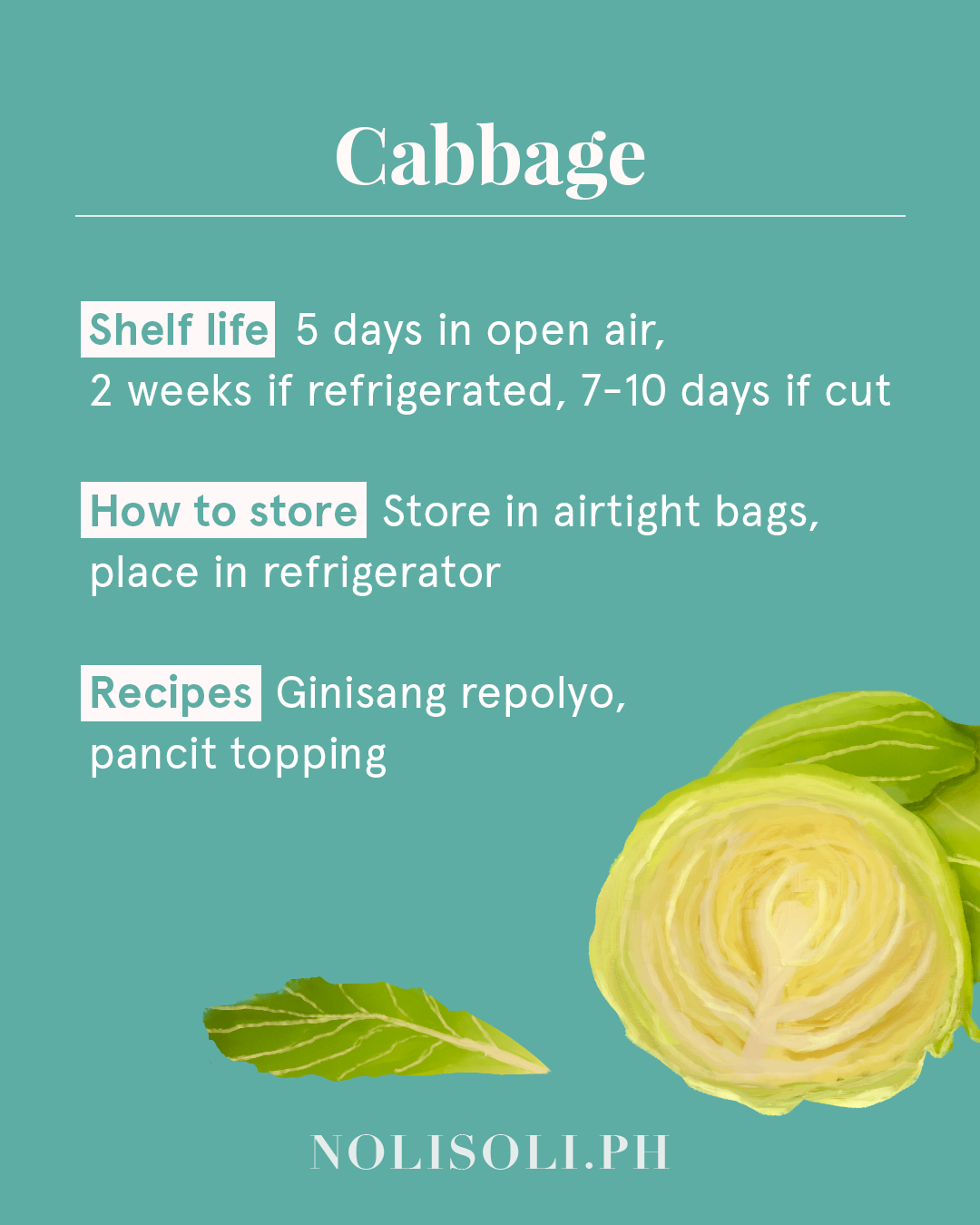 vegetable shelf life