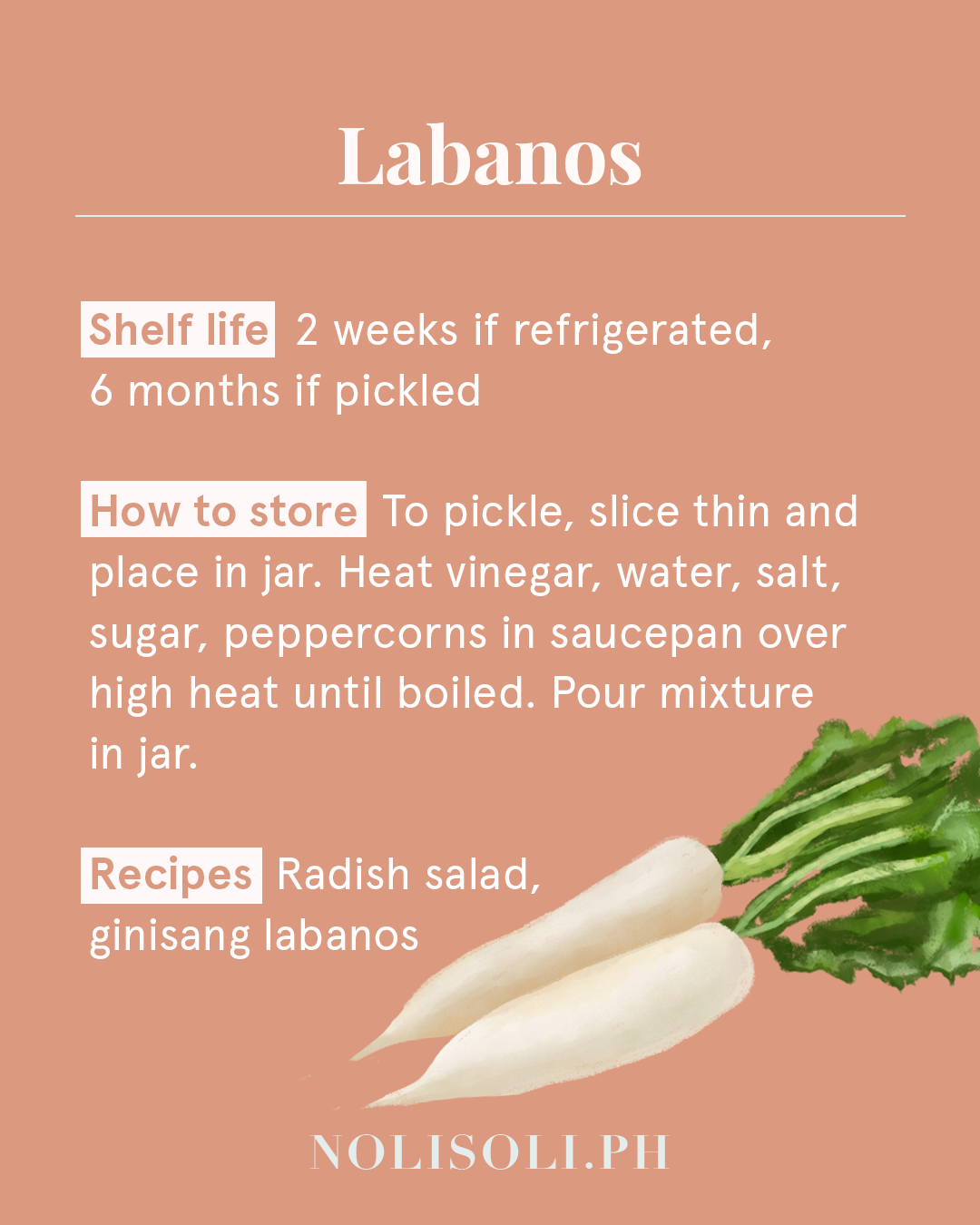 vegetable shelf life