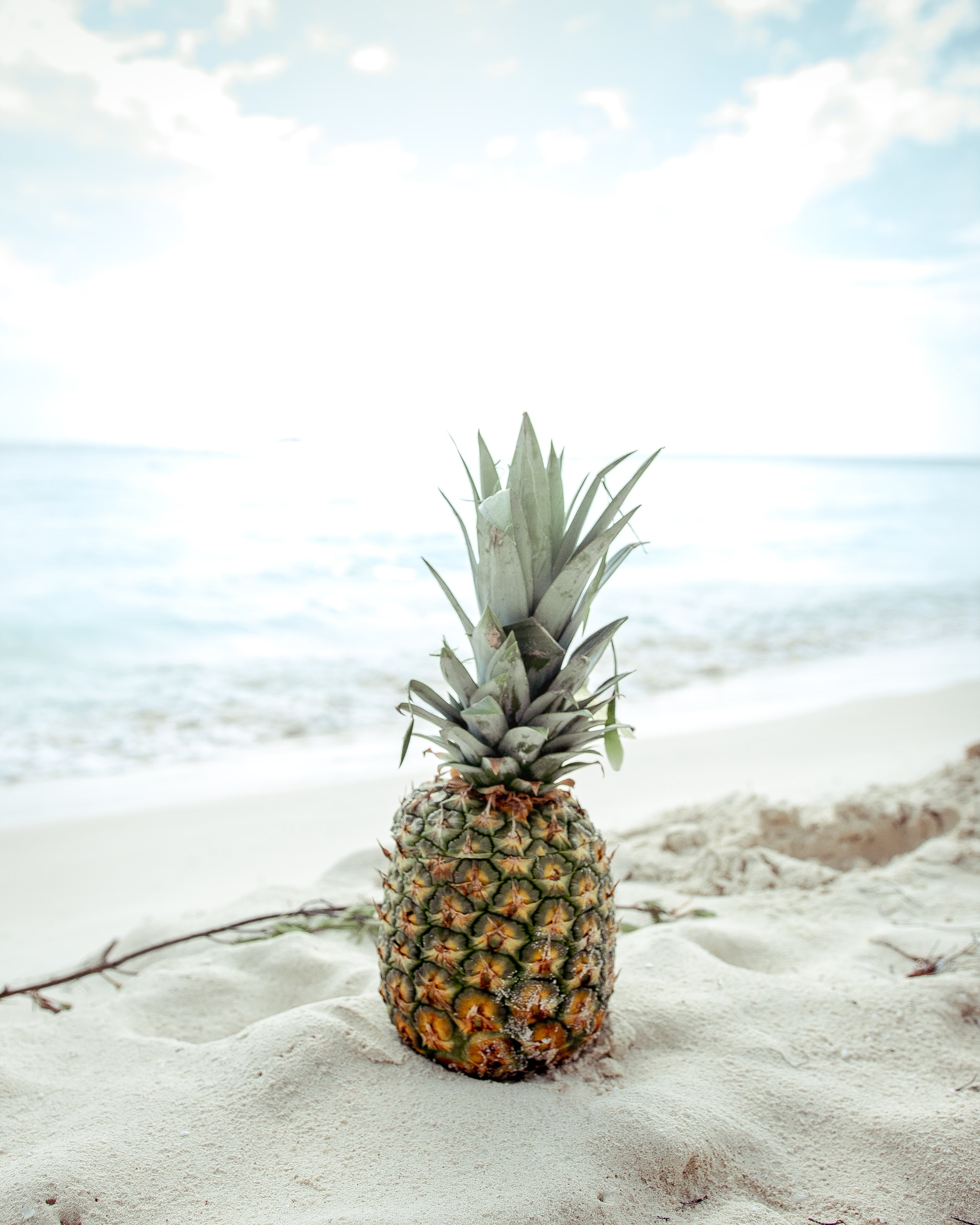 summer fruit pineapple